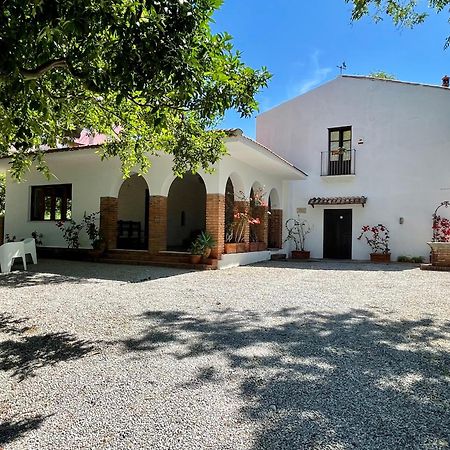 Villa Tana Pacenzia Cefalù Buitenkant foto